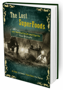 The Lost Super foods Book