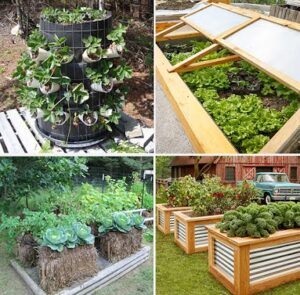 Tips for Implementing Self-Sufficiency in Your Own Backyard