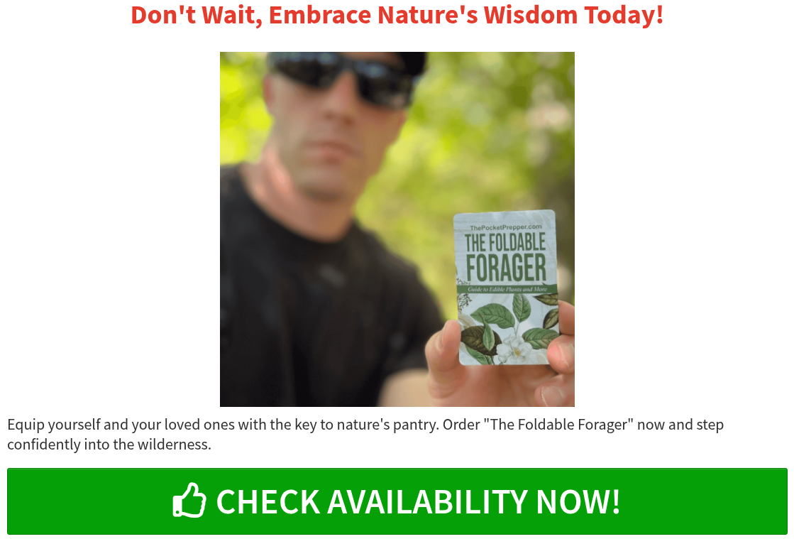 The Foldable Forager Guide
