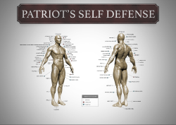 Benefits of Using Patriot’s Self Defense System