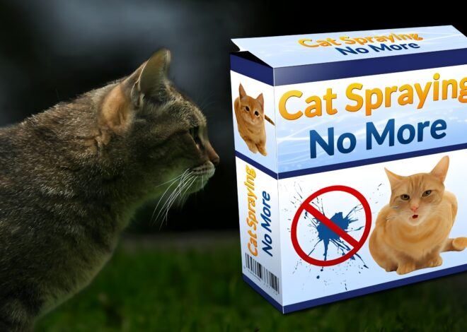 Cat Spraying No More Review