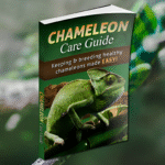 Chameleon Care Guide Review