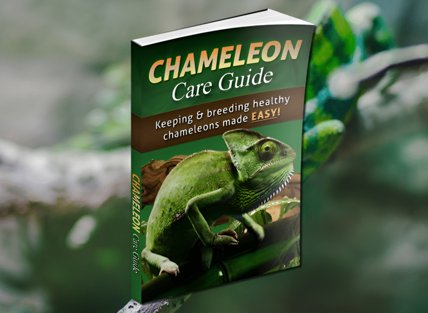 Chameleon Care Guide Review