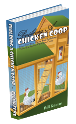 What is Building A Chicken Coop