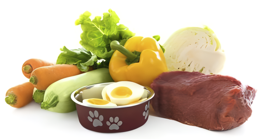 The Benefits of Cooking for Your Dog